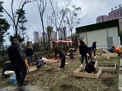 2018.12.09东林四季田园 (1).jpg